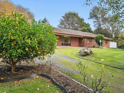 7685 Channel Highway, Cygnet