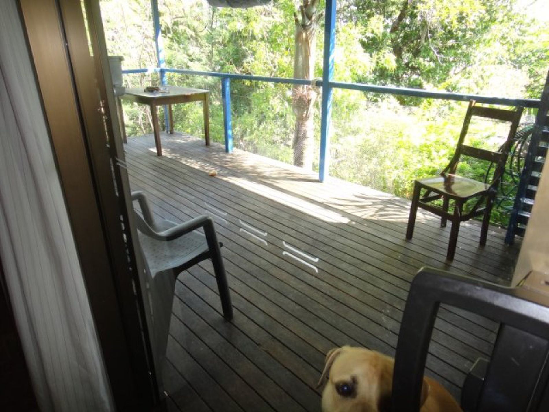 2 / 55 Helen, Cooktown