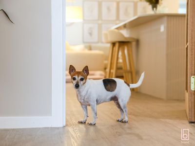 49 Georgia Drive, Hamlyn Terrace