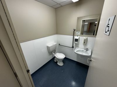 60 Fox Street, South Dunedin