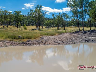 729 Wallangra Road, Ashford