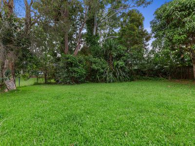 12 Eagle Drive, Tewantin