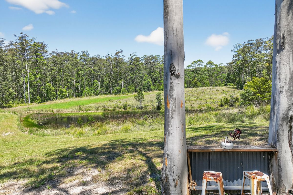 322 Hubbards Road North, Topi Topi