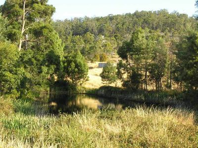 Walters Road, Wattle Grove