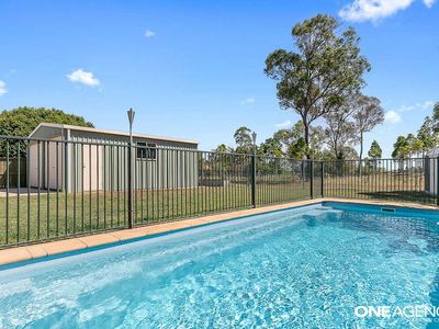 66 Ibis Boulevard, Eli Waters