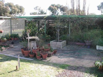 Tocumwal