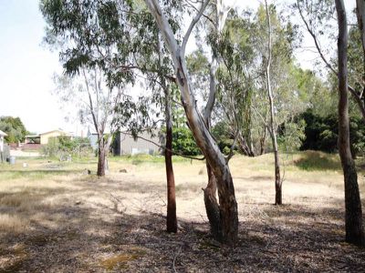 116 Phillipson Street, Wangaratta
