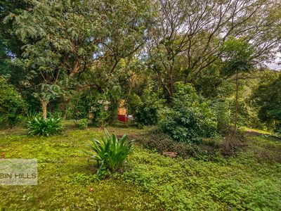 41 / 4505 Kyogle Road, Wadeville