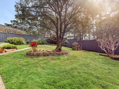 8 Houlahan Close, Woolgoolga