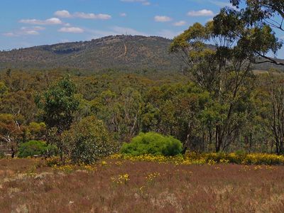 999 Burkes Flat - McIntyre Road, Mcintyre