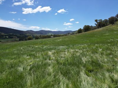 Lot 1, Sec 19, "The Block" Murray Valley Highway, Bullioh