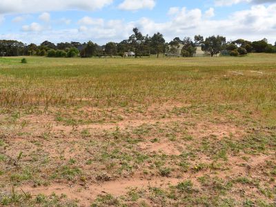 Lot 11, Rendelsham Road, Millicent