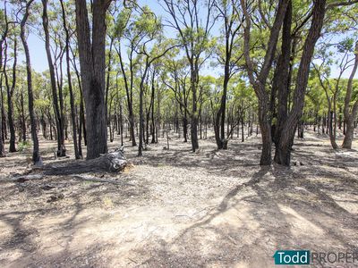 117 Lewis Road, Heathcote