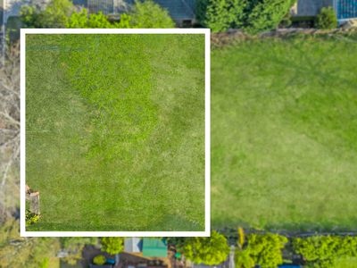 79 George Mobbs Drive, Castle Hill