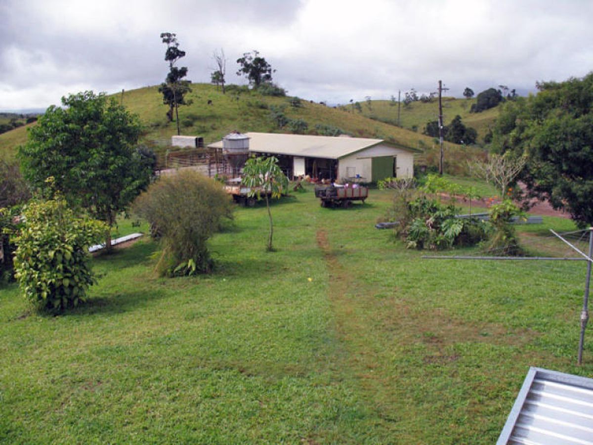 Tarzali