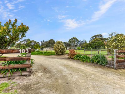 183 Williams Road, Millicent