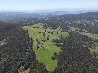 Lot 1 (99 Acres), Coal Mine Road, Kaoota