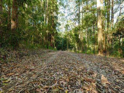 486 Davis Road, Jiggi