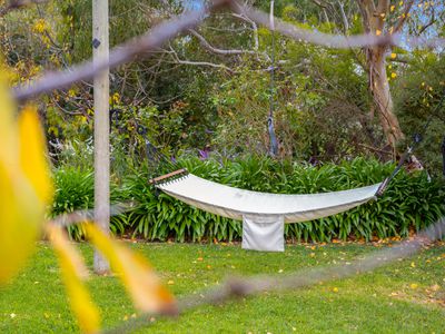 65 Plunkett Terrace, Millicent