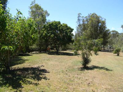 478 Moy Pocket Road, Kenilworth