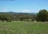 779 Lower Lewis Ponds Road, Orange