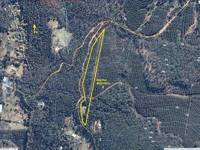 667 Bermuda Road, Glen Huon
