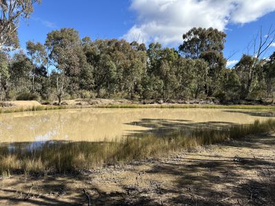 454 Cainbil Road, Coolah