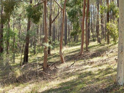 Lot 1 Bush Sanctuary Road, Chewton