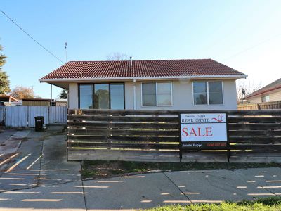 19 Mccormack Cres, Seymour