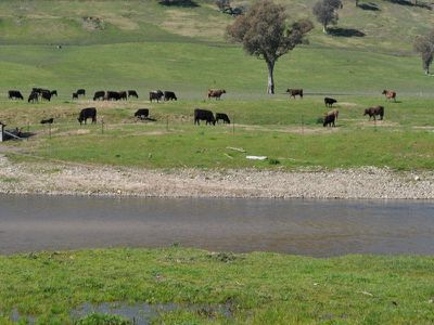 863 Tallangatta Creek Road, Tallangatta