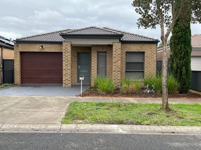 16 Evergreen Crescent, Craigieburn