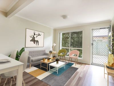 5 / 31 Baden Powell Street, Maroochydore