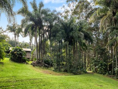 476 WALLACE ROAD, Terania Creek