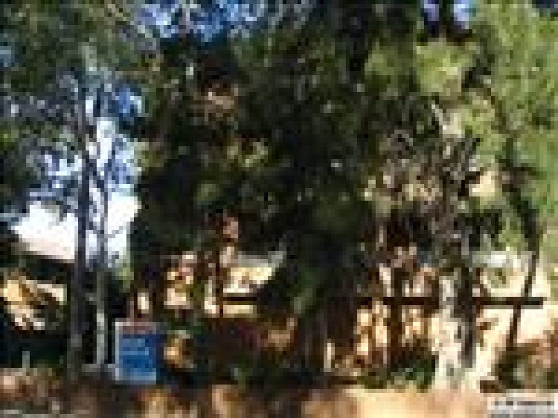 8 / 66-68 Clisold Parade, Campsie