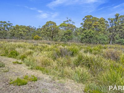 2235 East Tamar Highway, Mount Direction