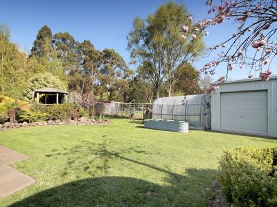 15 Wattle Hill Road, Mountain River