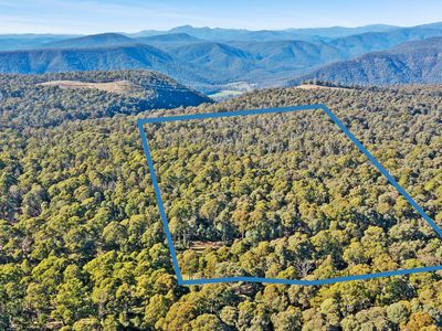 4320 Mansfield-Whitfield Road, Whitlands