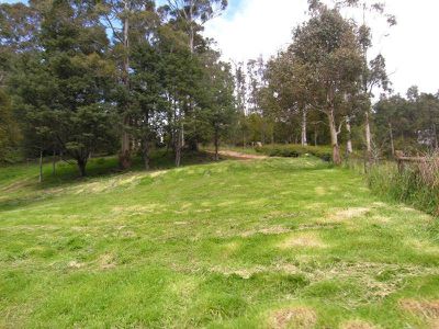 Office CL / Lot 1 Arks Road, Cradoc