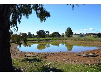 230 Wandobah Road, Gunnedah