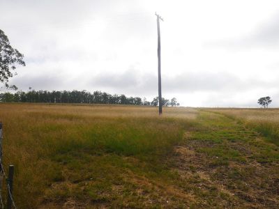 Kingaroy