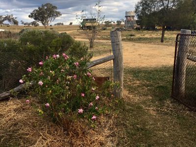 218 POSSUM SPRINGS ROAD, Merriwa