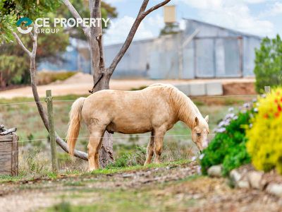 3 Pilmore Road, Murray Bridge