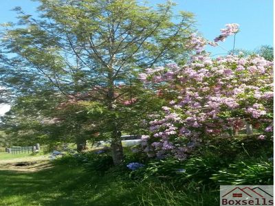 566 Eastern Mary River Rd , Maleny