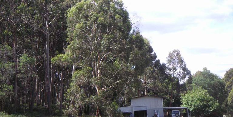 120 Steens Road, Boho