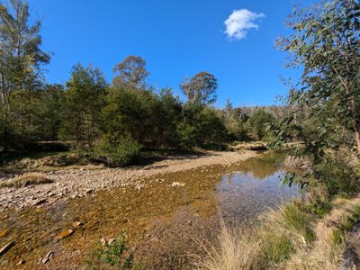 115 Gulph Creek Road, Nerrigundah