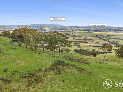 260 & 310 Mt William Road, Goldie