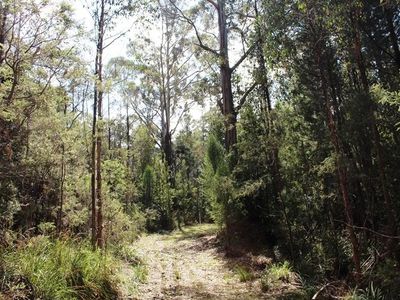 Land Off Steeles Road, Nicholls Rivulet