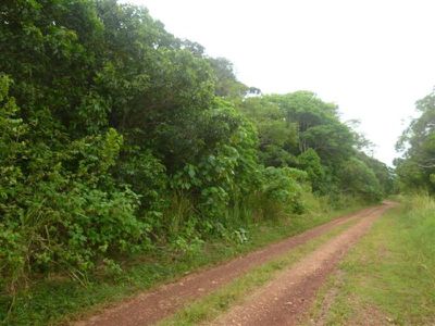 1 Endeavour Valley Road, Cooktown