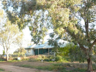 88 Fracaro Road, Gunbower