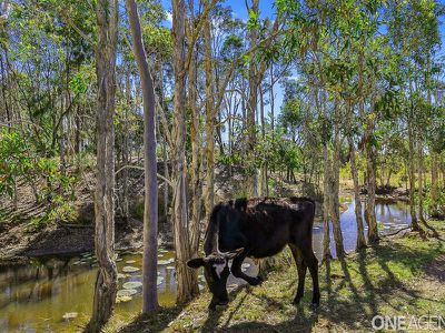 1-5 Colman Crescent, Burrum River